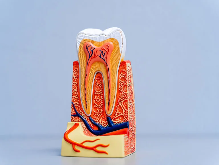 Nothing to Fear Anymore